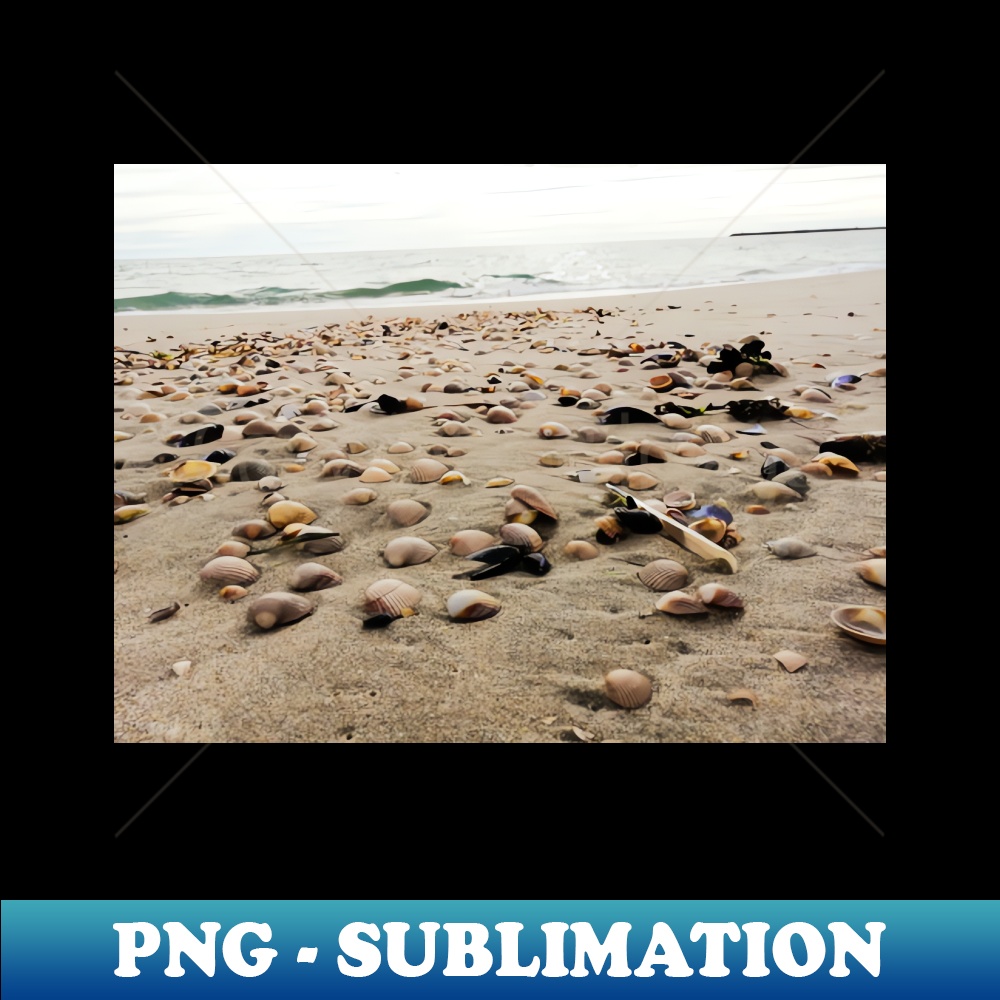 FA-24865_Seashell bed 3456.jpg
