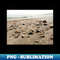 FA-24865_Seashell bed 3456.jpg