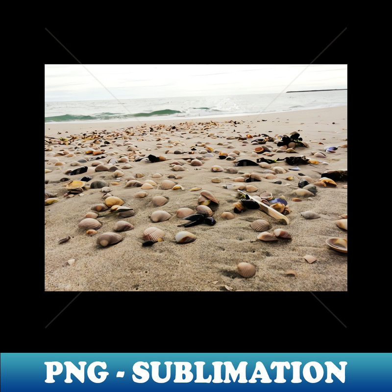 FA-24865_Seashell bed 3456.jpg
