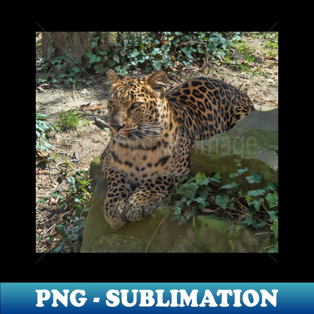 FC-27096_Taking It Easy 9286.jpg