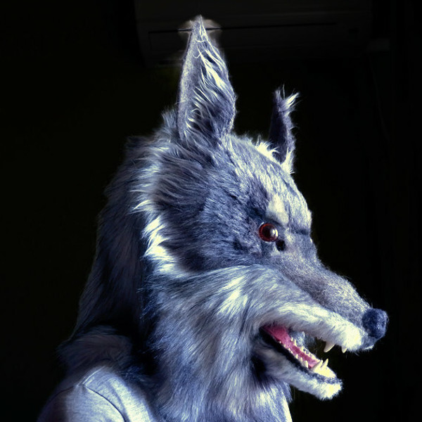 wolf_mask_cosplay_party _10.jpg