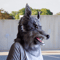 wolf_mask_cosplay_party _7.png