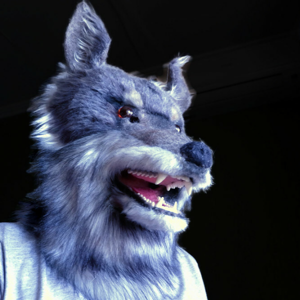 wolf_mask_cosplay_party _9.jpg