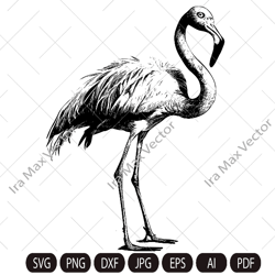 FLAMINGO SVG , Flamingo bird Svg, Flamingo Cut File , Bird Svg, Flamingo Clipart, Exotic birds, Flamingo Silhouette