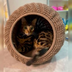 Handmade Crochet Pet House for Small Dogs and Cats - Cozy & Elegant Indoor Pet Bed