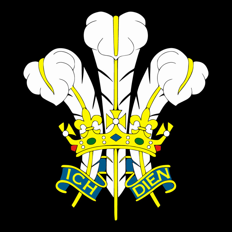 Wales-Cymru-3-Feathers-Ich-Dien-Welsh-Patriotic-Proud-Emblem-1465766326.png