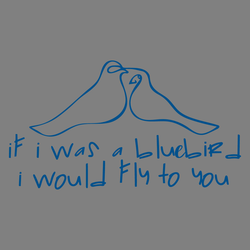 If-I-Was-A-BlueBird-I-Would-Fly-To-You-1004241043.png
