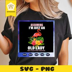 assuming im just an old lady was your first mistake, lady svg, lady, old lady, old lady gift, old lady birthday, lady li