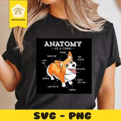 anatomy of a corgi svg, anatomy svg, corgi svg, corgi png, corgi antomy svg, corgi anatomy shirt, corgi lover svg, corg