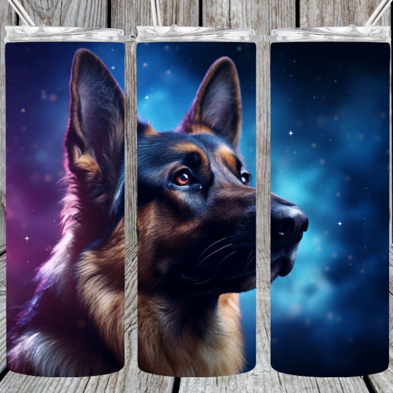 colorful shep.png