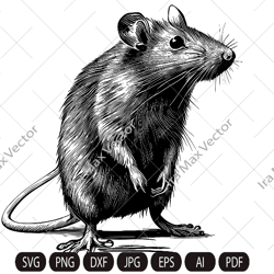 Rat Svg,Mouse svg, Rat Clipart, Rat Png, Rat Head, Rat Cut Files, Rat sublimation , Rat Silhouette, Animals Silhouette