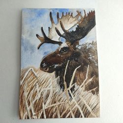 Elk painting original watercolor art bird artwork wildlife art