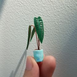 Miniature Anthurium King made from clay
