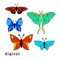 Butterfly-stained-glass-pattern-set-1.jpg