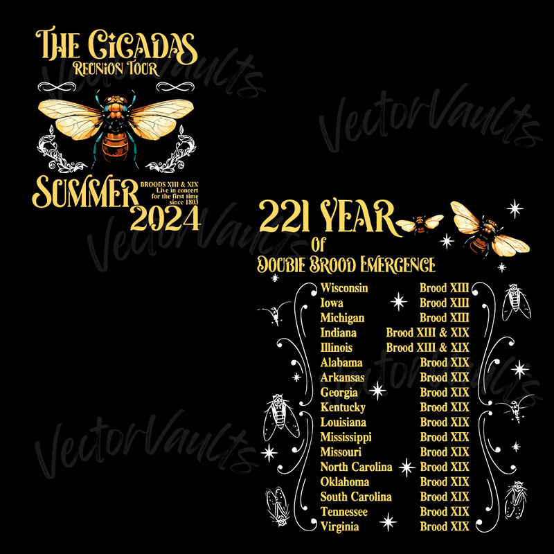 The-Cicadas-Reunion-Tour-Summer-2024-PNG-20240601012.png