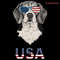 American-Dog-Cool-Png-Digital-Download-Files-0706242044.png