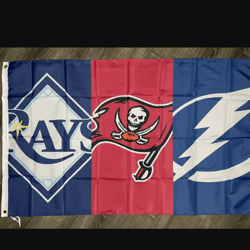 Tampa Bay Buccaneers Rays Lightning Flag 3x5ft Sports Banner Man-Cave Garage