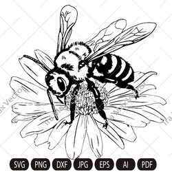 Bee svg, Floral bee, bee on flower, honey bee, bumble bee svg png jpg clip art Silhouette Cutting Machine
