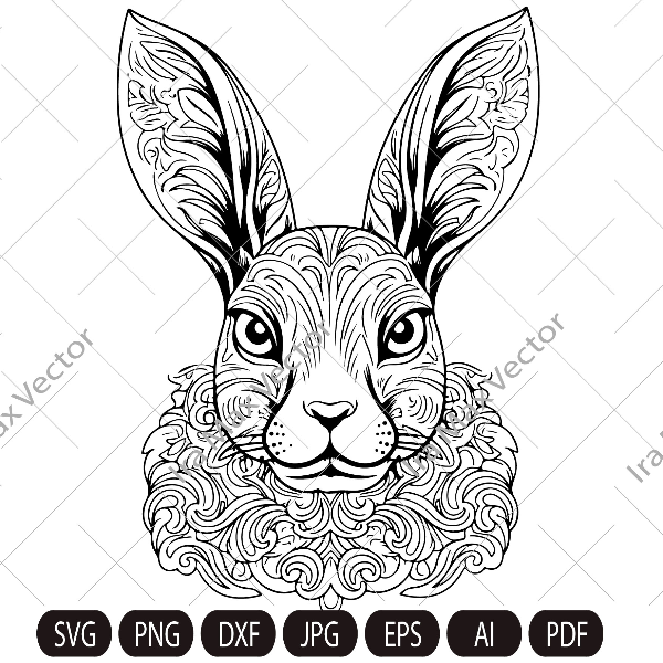 rabbit imv.jpg