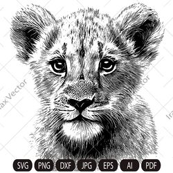 Cute Baby Lion svg,Lion cub face svg, Nursery Decor, Safari African Animals, Lion Cub, Nursery Wall Art, Kids Printable