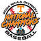 Vols-2024-NCAA-Division-I-Baseball-National-Champions-SVG-2506241025.png