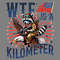 WTF-Is-A-Kilometer-Eagle-Raccoon-Meme-PNG-2406241014.png