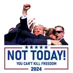 not today you cant kill freedom 2024 png