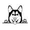 Peeking-Siberian-Husky-SVG-Digital-Download-Files-2296334.png