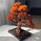 Fall-bonsai-artwork-10.jpeg