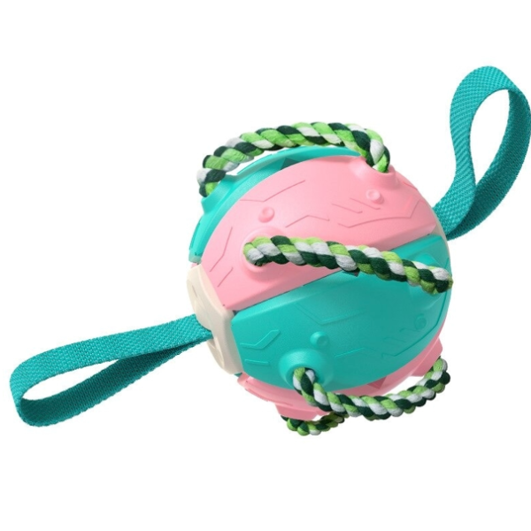 Bouncing Frisbee Ball Interactive Dog Toy 1.png