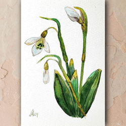 Snowdrop painting original watercolor art plant white flower artwork