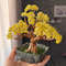 Yellow-miniature-bonsai.jpeg