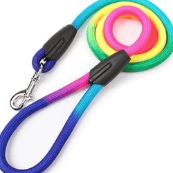 Nylon Rainbow Pet Dog Leash for Training and Walking