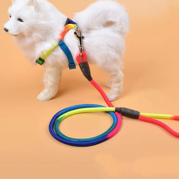 yJrlDurable-Nylon-Rainbow-1-2M-Pet-Dog-Leash-Walking-Training-Leash-Cats-Dogs-Harness-Collar-Leashes.jpg