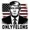 Voting-For-Trump-Making-The-America-Great-Again-Felon-SVG-0607242030.png