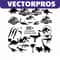 MR-vectorpros-2019276-1312202362945.jpeg