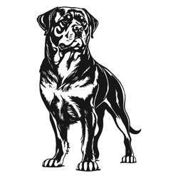 rottweiler svg file digital download files