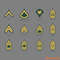 12-US-Army-Enlisted-Rank-Vectors-ai-Digital-Download-Files-1221780495.png