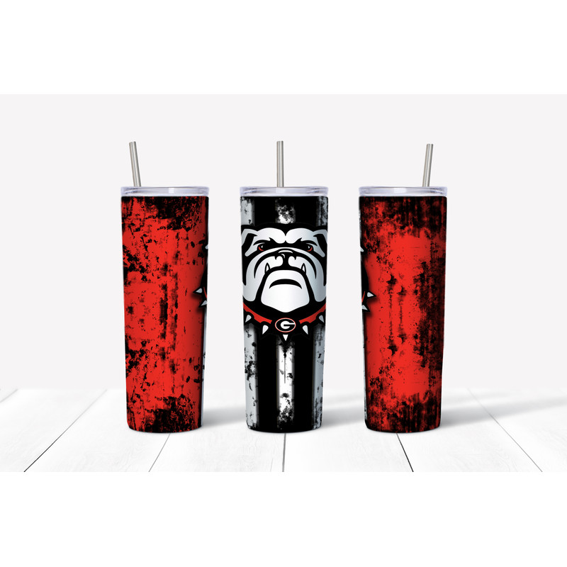 Georgia Bulldogs 1 Mockup.jpg