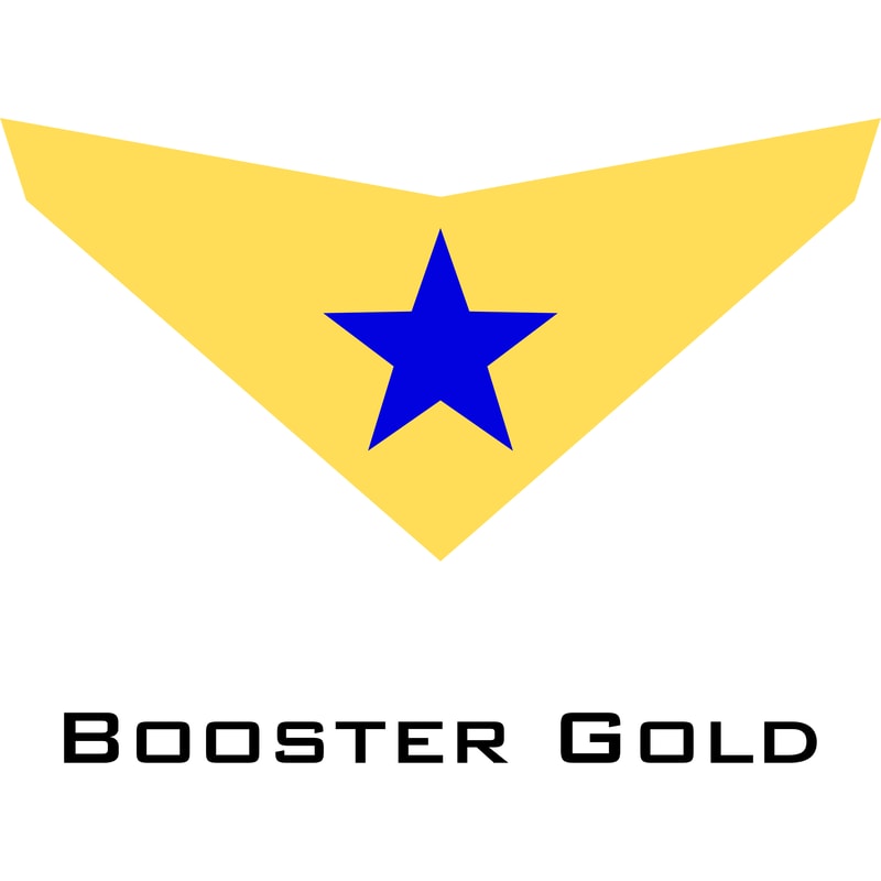 Booster Gold.png