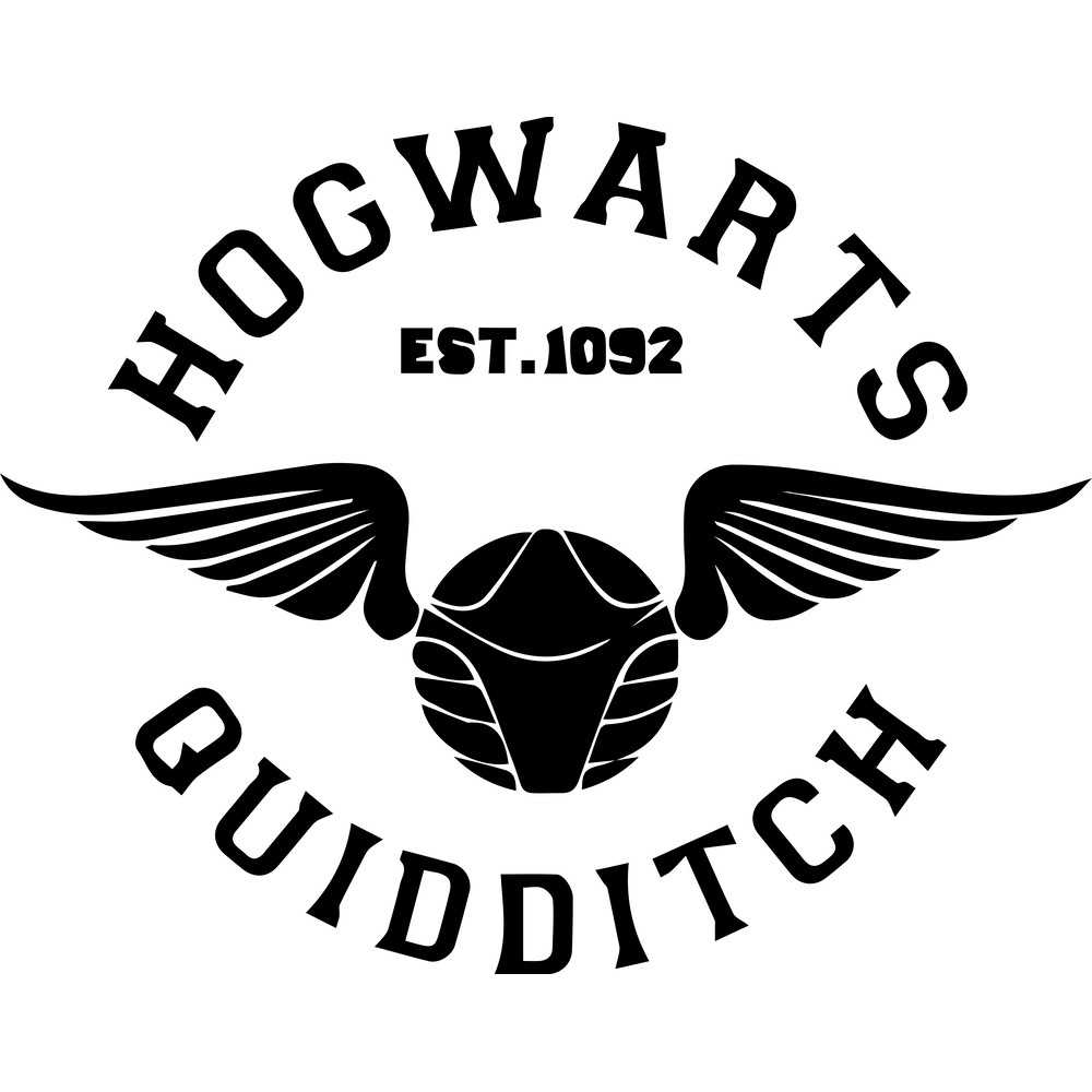 8.Hogwarts quiddtitch.png