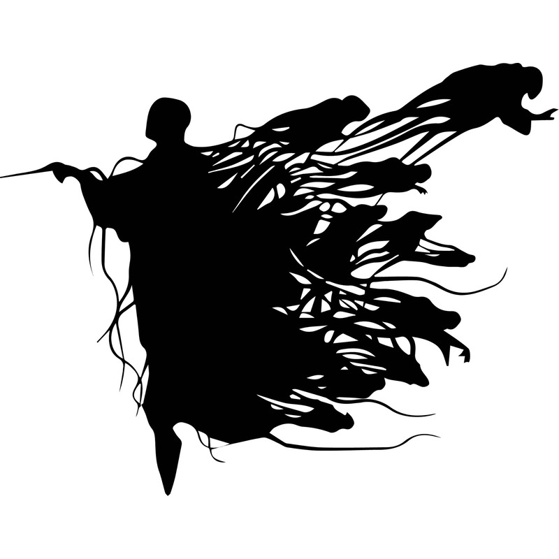lord voldemort shadows.jpg