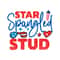 Star Spangled Stud-01.jpg