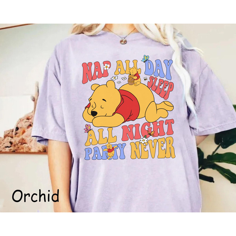 Retro Winnie The Pooh Lazy Day Nap All Day Sleep All Night Comfort Colors Shirt, Disney Washed T-shirt, Walt Disney World, Disneyland Trip.jpg