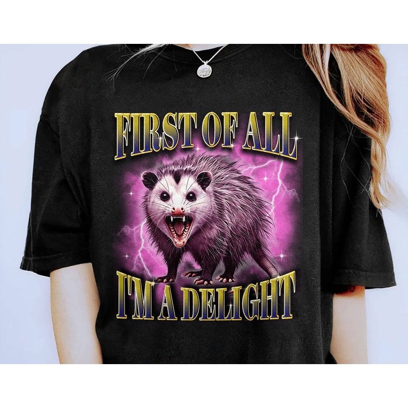 First Of All I'm A Delight Shirt, Cute Sarcastic Sweatshirt, Sarcastic Self Love Hoodie,Angry Possum Tee, Gift For Best Friend, Possum Lover.jpg