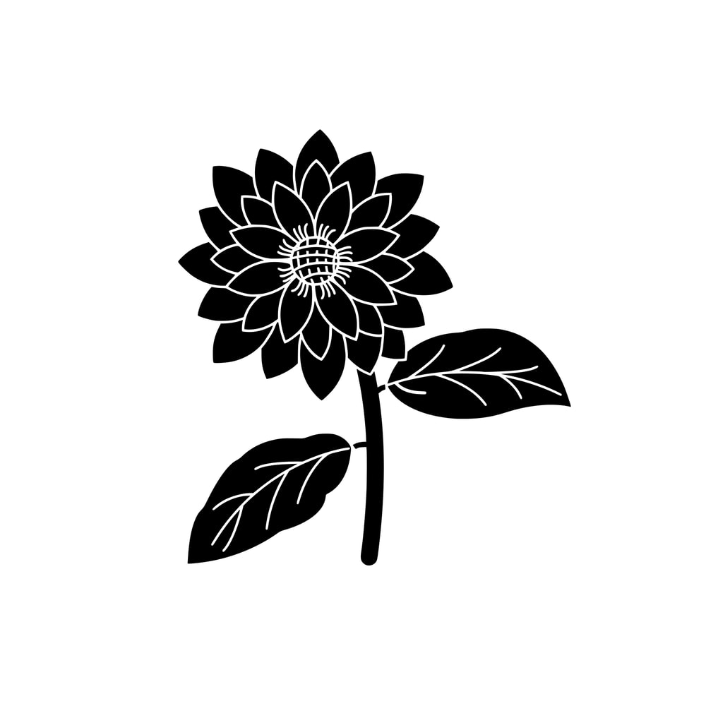 sunflower (1).png