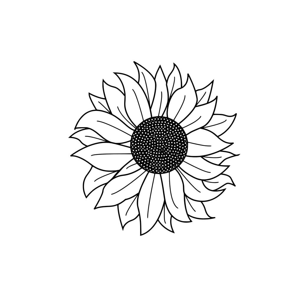 sunflowerline (1).png