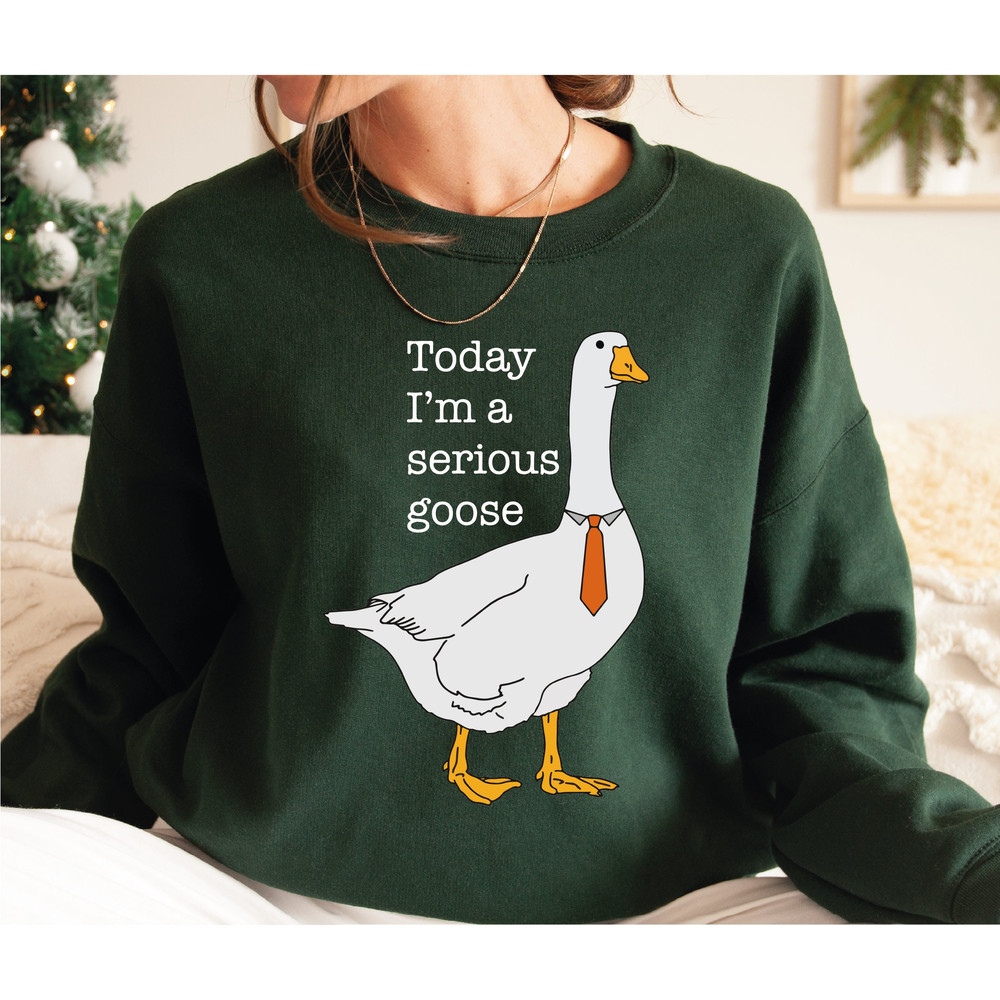 Today I'm A Serious Goose Sweatshirt and Hoodie, Silly Sweatshirt, Funny Crewneck Sweatshirt , Shirts for Men, Funny Goose Sweatshirt LS888.jpg
