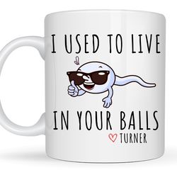 Funny Fathers Day Mug for Dad, I Used to Live In Your Balls, Dad Birthday Gift,