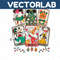MR-vectorlab-2011231030-2122023105848.jpeg